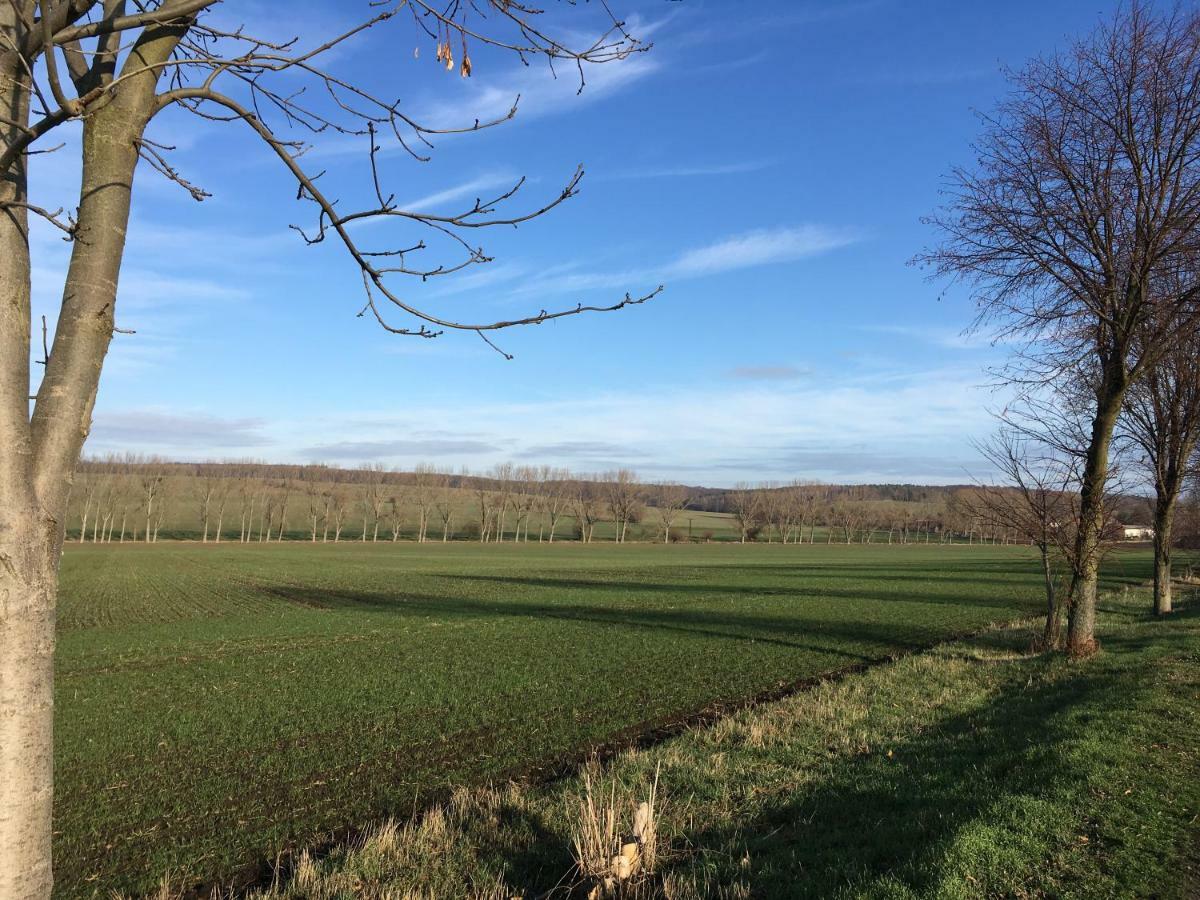 Gaestehaus Am Wald أوشرسليبين المظهر الخارجي الصورة